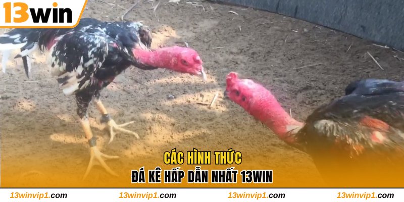 Các hình thức đá kê hấp dẫn nhất 13WIN